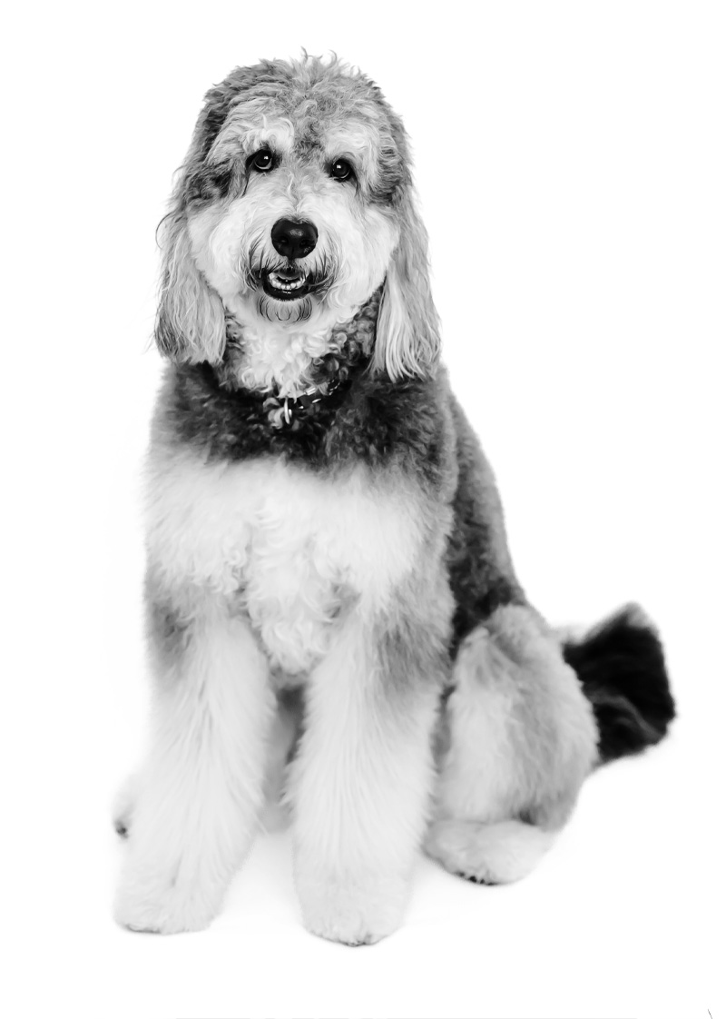 timberview-dentistry-sadie-25